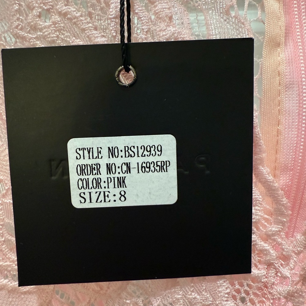 Parisian Works Blush Lace Bodysuit - Picture 4 of 8